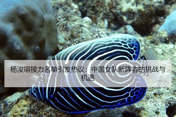 yang-jun-xuan-jie-li-ming-dan-yin-fa-re-yi-zhong-guo-nv-dui-xin-zhen-rong-de-tiao-zhan-yu-ji-yu-2-208.jpg